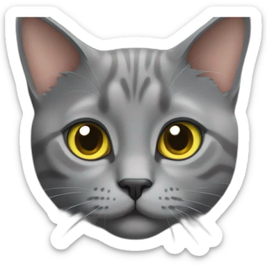 Chartreux cat with European cat sticker
