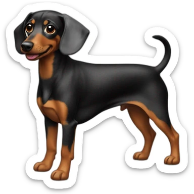 Teckel arlequin sticker