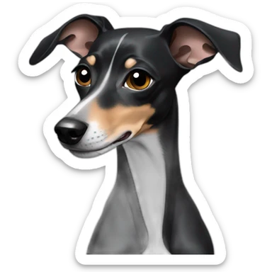 Completely black italian greyhound sticker