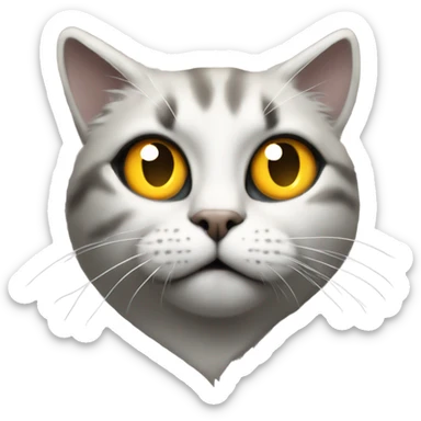 Bitcoin in a cat’s eye sticker