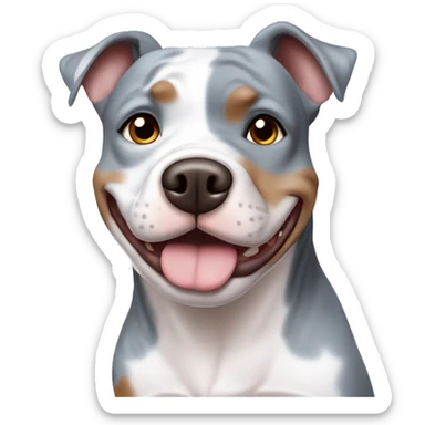 Blue merle pitbull with 1 blue and 1 brown eyes sticker