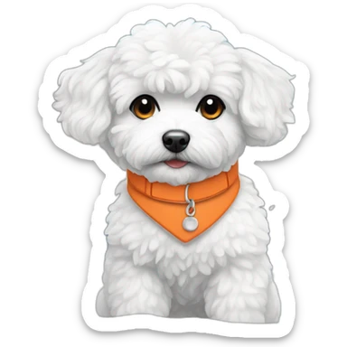 white maltipoo enjoying in the snow with orange collar sticker