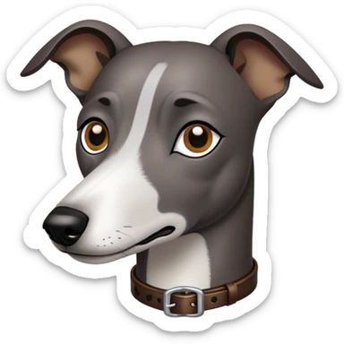 Black whippet with dark brown collar sticker