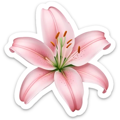 Lily flower light pink sticker