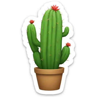 cactus topped with sticker
