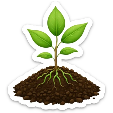 A tiny two leaf seedling coming out of a seed sticker