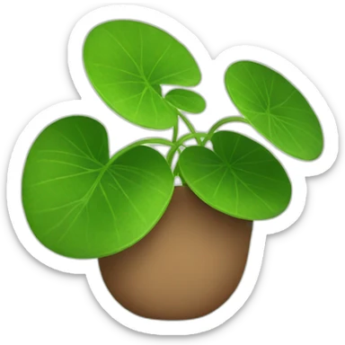 pilea sticker