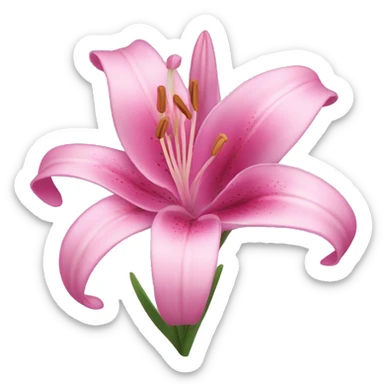 pink lilly flowers sticker