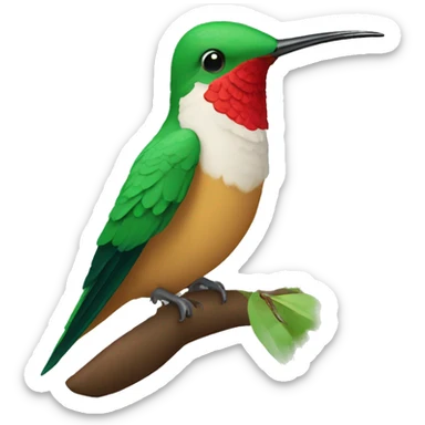 Colibri sticker