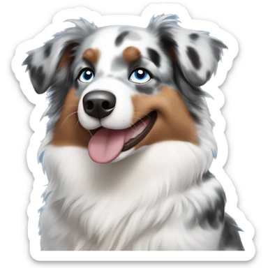 Mini blue Merle Australian Shepherd with blue eyes sticker