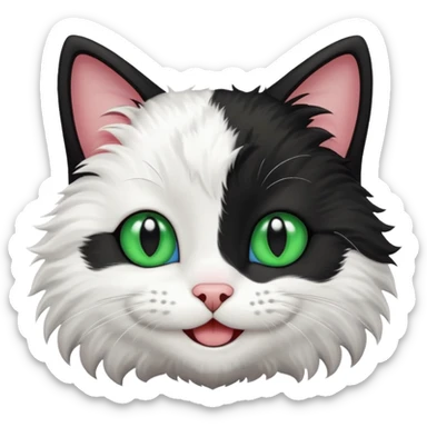 smiling black and white cat with blue and green eyes, mischievous expression sticker