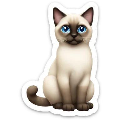 Fluffy Siamese cat with light blue eyes sticker