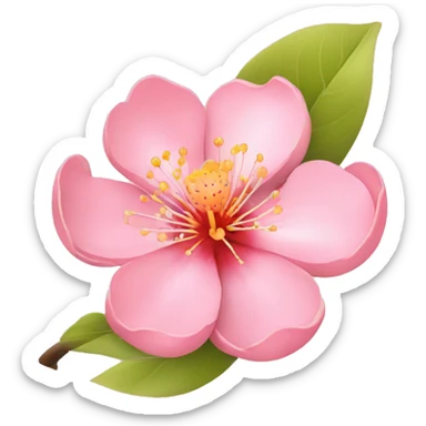 peach blossom sticker