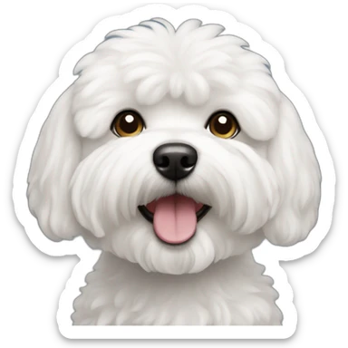 Bichon maltais sticker