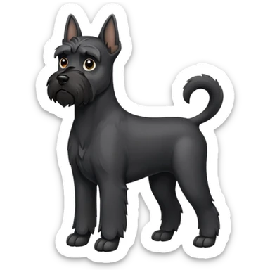 Black schnauzer with cropped ears sticker