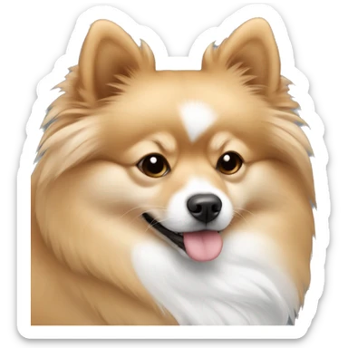 pomeranian-spitz mix light brown and white with gray ears sleeping sticker