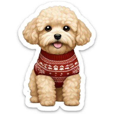 Light apricot color maltipoo with Christmas sweater sticker