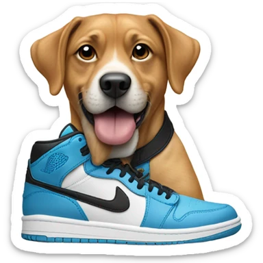 Dog wearing air Jordans sticker