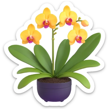 Realistic phalaenopsis orchid with delicate blooms and prominent large green leaves clearly visible sticker