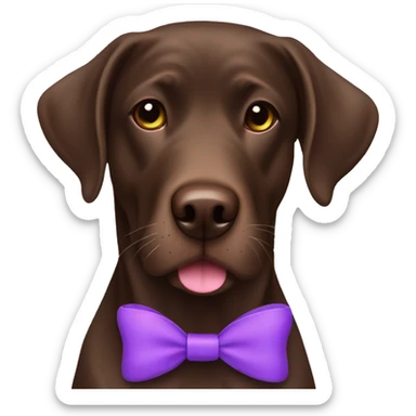 a chocolate lab with a purple bow sticker