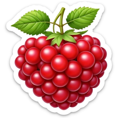 bright red blackberry fruit sticker