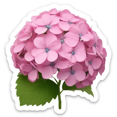 Pink hydrangea  sticker