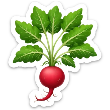 radish plant sticker