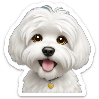 Maltese bichón sticker