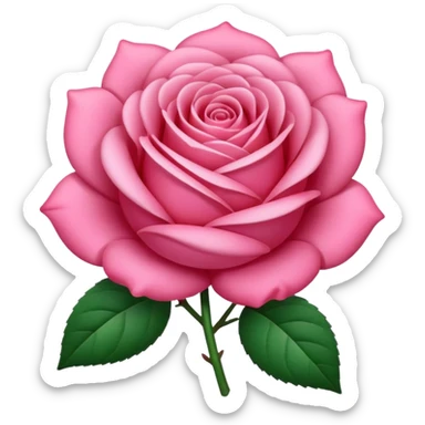 Rosa rosada sticker