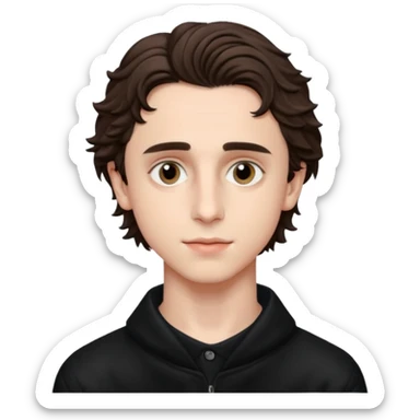 Timothee chalamet sticker