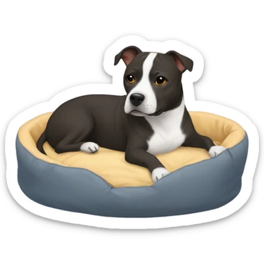 Staffie dog in small bed sticker