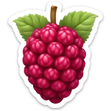 Raspberry sticker