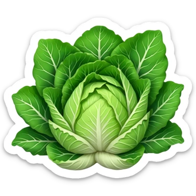 Chinese cabbage sticker
