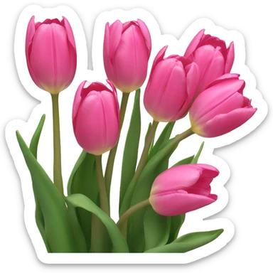 pink tulips  sticker