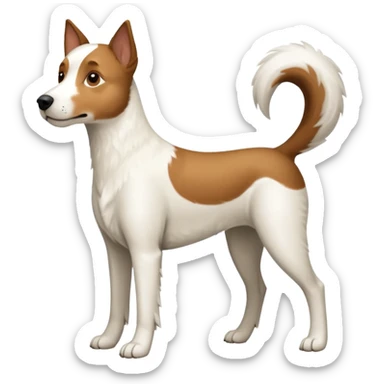 a full body large white parson russell looking dog the size of a kelpie with light brown ears and a light brown patch on one eye and a large snout sticker