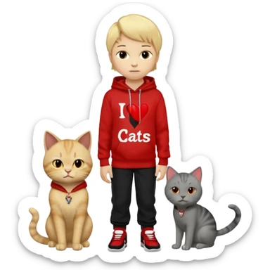 A 8 year old boy wearing a red and black hoodie say I heart cats he’s blond he has red Jordan’s and Hess wearing black pants he’s next to a gray cat with yellow eyes  sticker