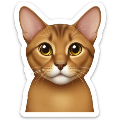 Abyssinian cat,Ticked tabby Coat,short hair sticker