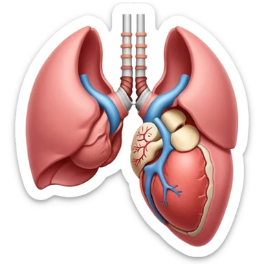 books of the anatomy of the uterus sticker