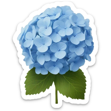 blue hydrangea  sticker