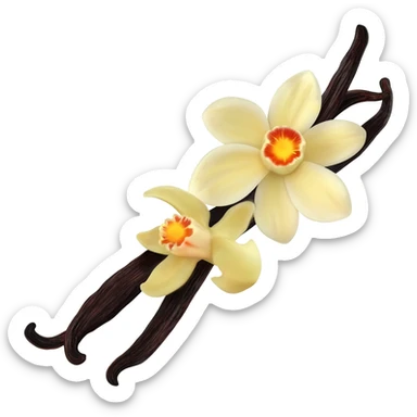 dark vanilla bean with the flower sticker