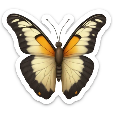 Butterfly  sticker