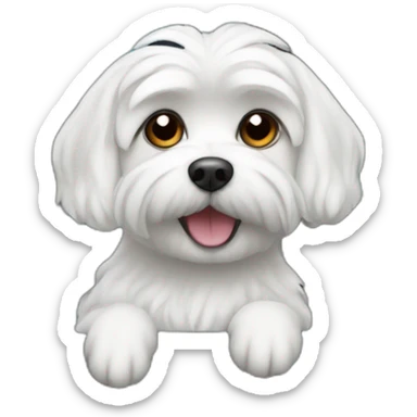 Maltese dog in car driving sticker