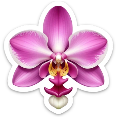exquisite-phalaenopsis-moth-orchid-with-pure-white-petals-and-subtle-pink-center sticker