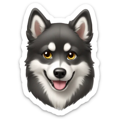 Pomsky wearing a hoodie sticker