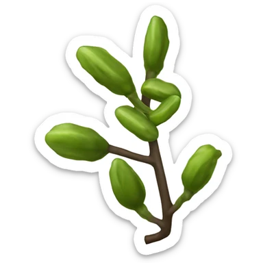 Wild licorice Glycyrrhiza lepidota sticker