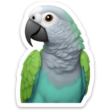 Gray ring neck parrot with zazz sticker