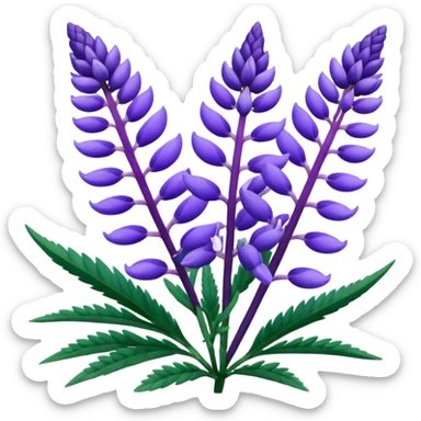 Realistic Still life detailed, Lupine Lupinus sticker