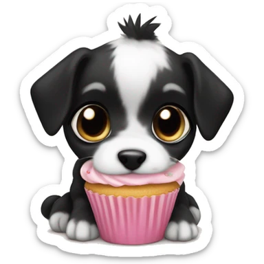 Cute big eyed Black and white teddy Roosevelt terrier puppy (no brown) eating a cupcake sticker