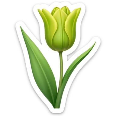 single ligtht green Tulip, straight stem sticker