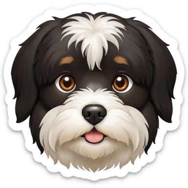 all-black Havanese dog face with brown eyes sticker